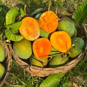 খাঁটি গোবিন্দভোগ-২০ কেজি