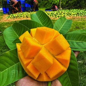 খাঁটি গোবিন্দভোগ-১০ কেজি